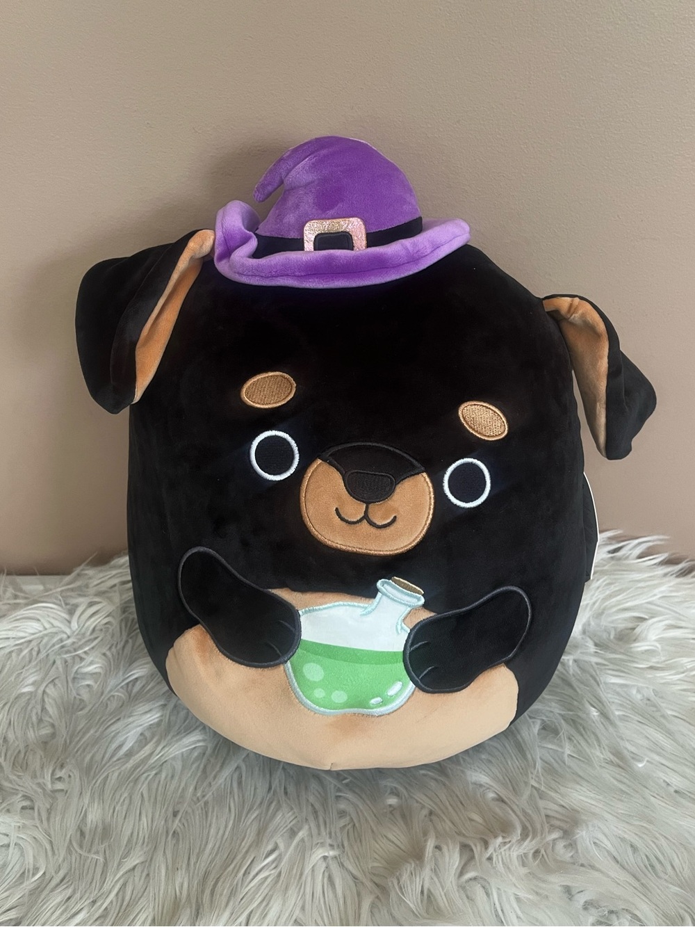 {Squishmallows} Mateo The Rottweiler 12" Halloween Squad Plush  - NWT